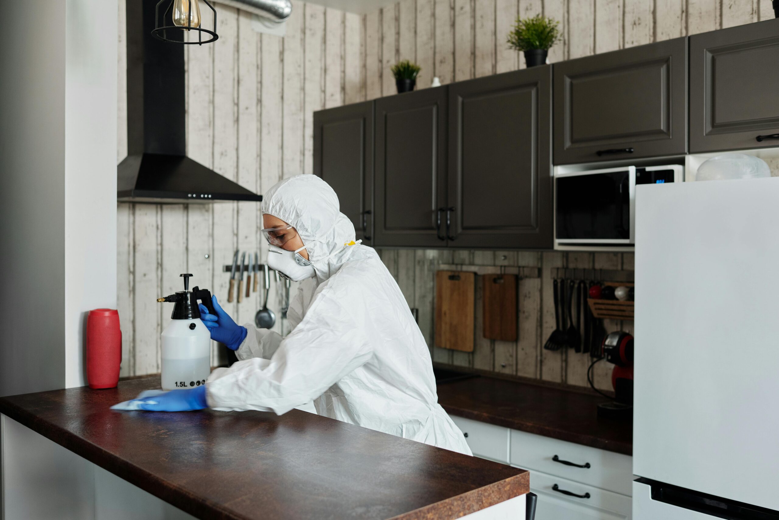 Mold removal services is important when relocating
