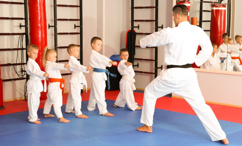 martial arts for classes https://agelesskarate.com/