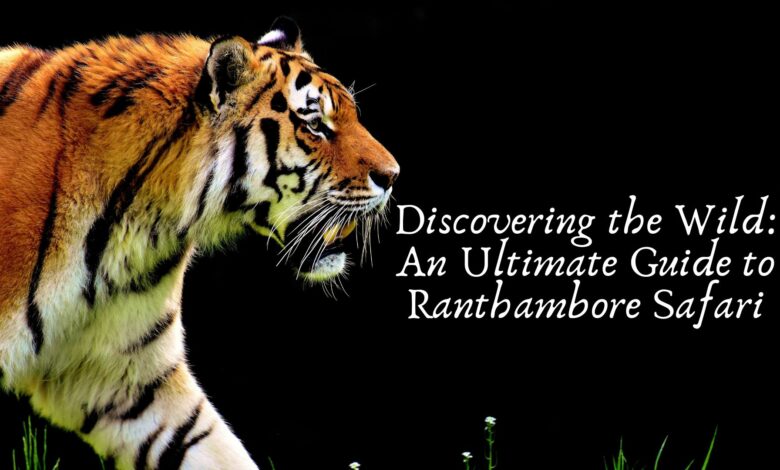 Discovering the Wild: An Ultimate Guide to Ranthambore Safari