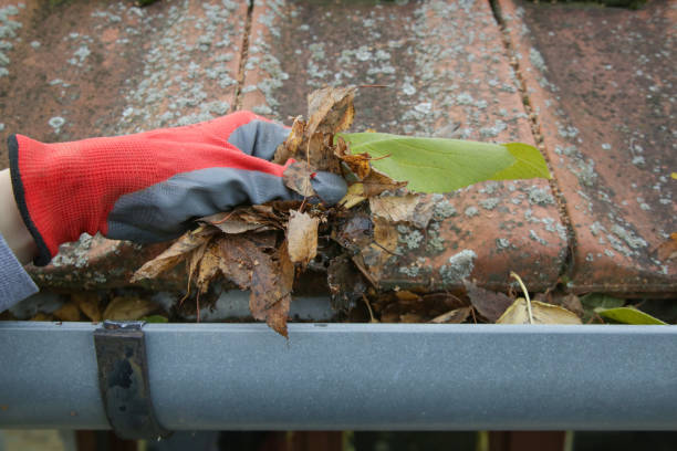 Gutter Cleaning and Brightening