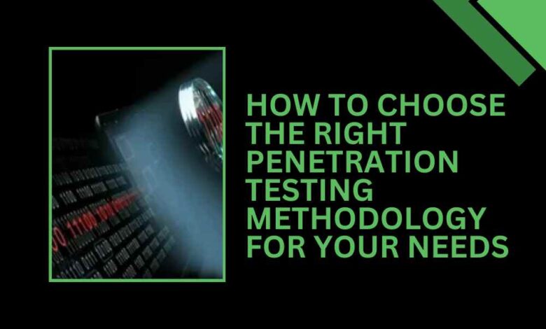 How to Choose the Right Penetration Testing Methodology for Your Needs