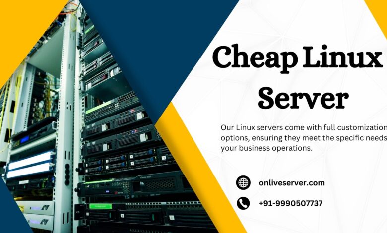 Infographic highlighting the benefits of using cheap Linux servers for cost efficiency in business.
