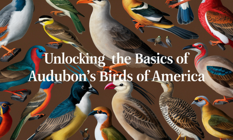 Unlocking the Basics of Audubon's Birds Of America