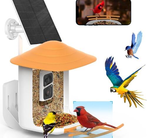 Enhance Your Garden with the Solar Gadget Bird Feeder