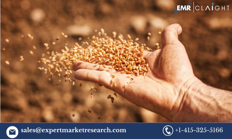 Wheat Seed Market