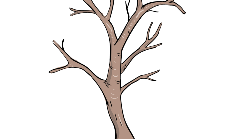 Branches Drawing