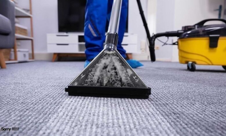 carpet cleaning services