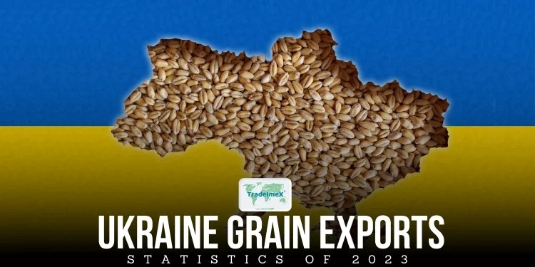 Ukraine Grain Exports