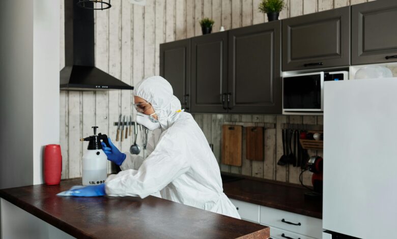 Why mold removal services are important when moving