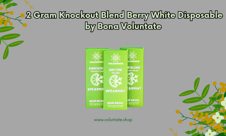 2 Gram Knockout Blend Berry White Disposable