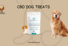 CBD Dog Treats