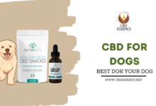 CBD For dogs