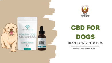 CBD For dogs
