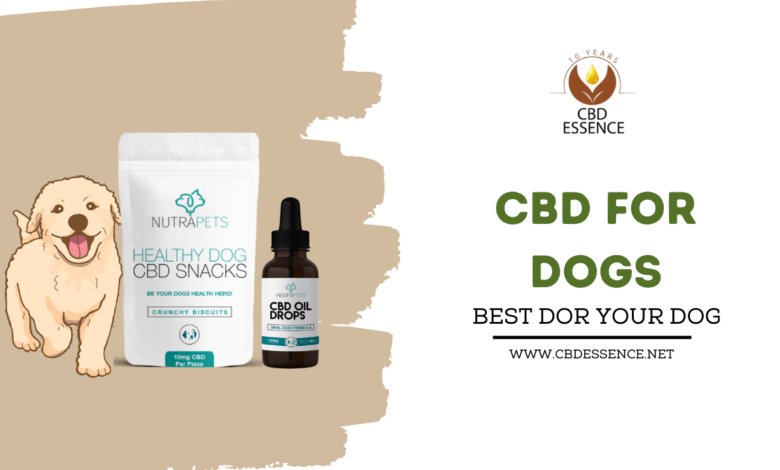 CBD For dogs