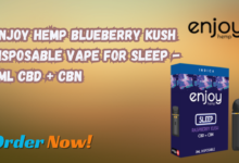 Blueberry Kush Disposable Vape