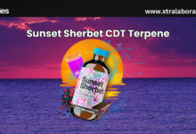 Buy Sunset Sherbet CDT Terpenes
