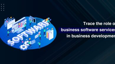 Role of software services in business development