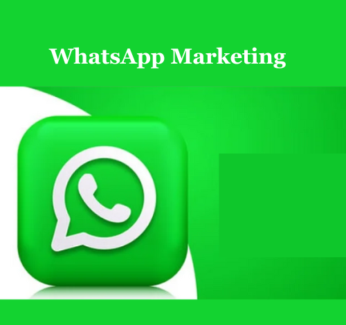 bulk whatsapp service provider in india