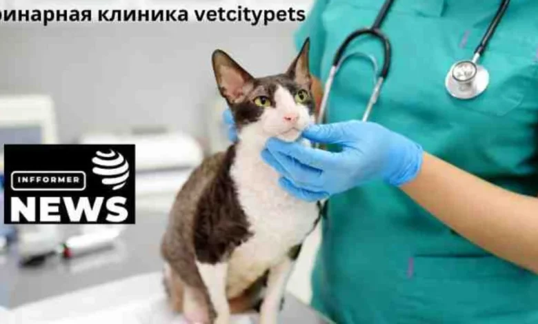 ветеринарная клиника vetcitypets